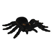 Tarantula Spin - Halloween Decoratie