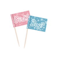 Gender Reveal - Cocktail Prikkers - Roze en Blauw - 50 stuks