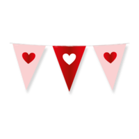 Love Vlaggenlijn - Valentijn  - Rood-Roze - 10 meter