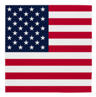 Servetten USA - Amerika - Landen Decoratie - 20 stuks
