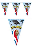 Vlaggenlijn Geslaagd - Afstudeerhoedje en Nederlandse Vlag - 10 meter Vlaggenlijn Geslaagd - Afstudeerhoedje en Nederlandse Vlag - 10 meter