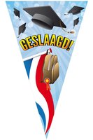 Geslaagd Puntvlag - Afstudeerhoedje en Nederlandse Vlag - 90 x 150 cm Geslaagd Puntvlag - Afstudeerhoedje en Nederlandse Vlag - 90 x 150 cm