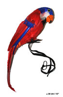 Papegaai Piraat - Schouder Papegaai - 40 cm