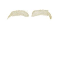 Sinterklaas Wenkbrauwen - Buffelhaar - Gebroken Wit