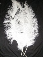 Pieten Veer - Spadonis - Wit - 50 cm