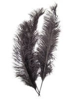 Pieten Veer - Spadonis - Zwart - 50 cm