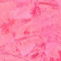 Veertjes roze 100 stuks