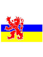 Tafelvlag moiree zijde 10 x 15 cm Limburg Tafelvlag moiree zijde 10 x 15 cm Limburg