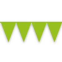 Vlaggenlijn - Lichtgroen - 10 meter Vlaggenlijn - Lichtgroen - 10 meter