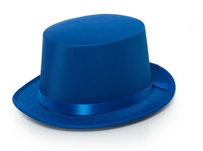 Hoge hoed | Feestartikelenshop.com