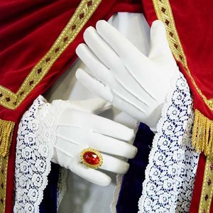 sinterklaas handschoenen